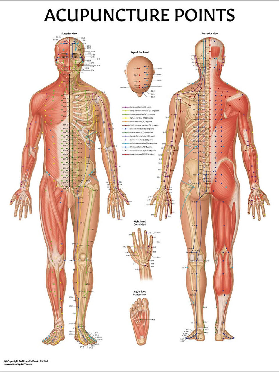acupuncture-map